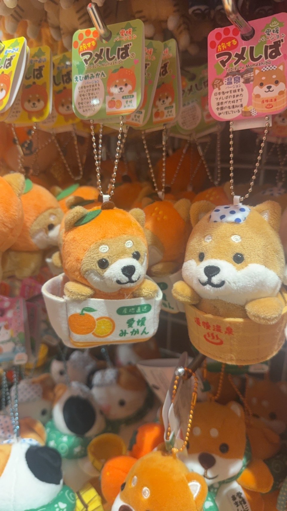 旅するマメしばえひめみかん箱入りバージョン | 道後お土産センター 絣