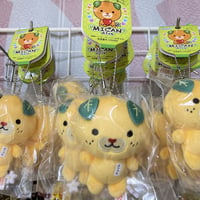 名札付きみきゃんぬいぐるみマスコット