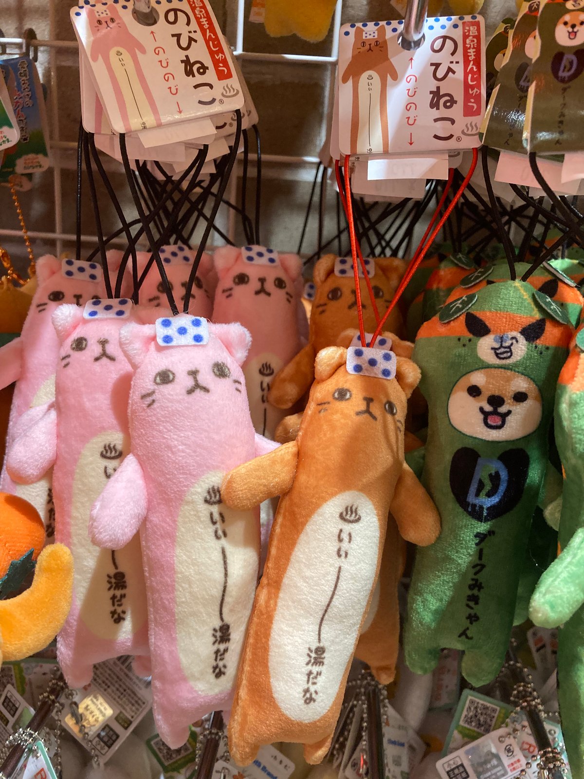 fit=scale-down,w=1200