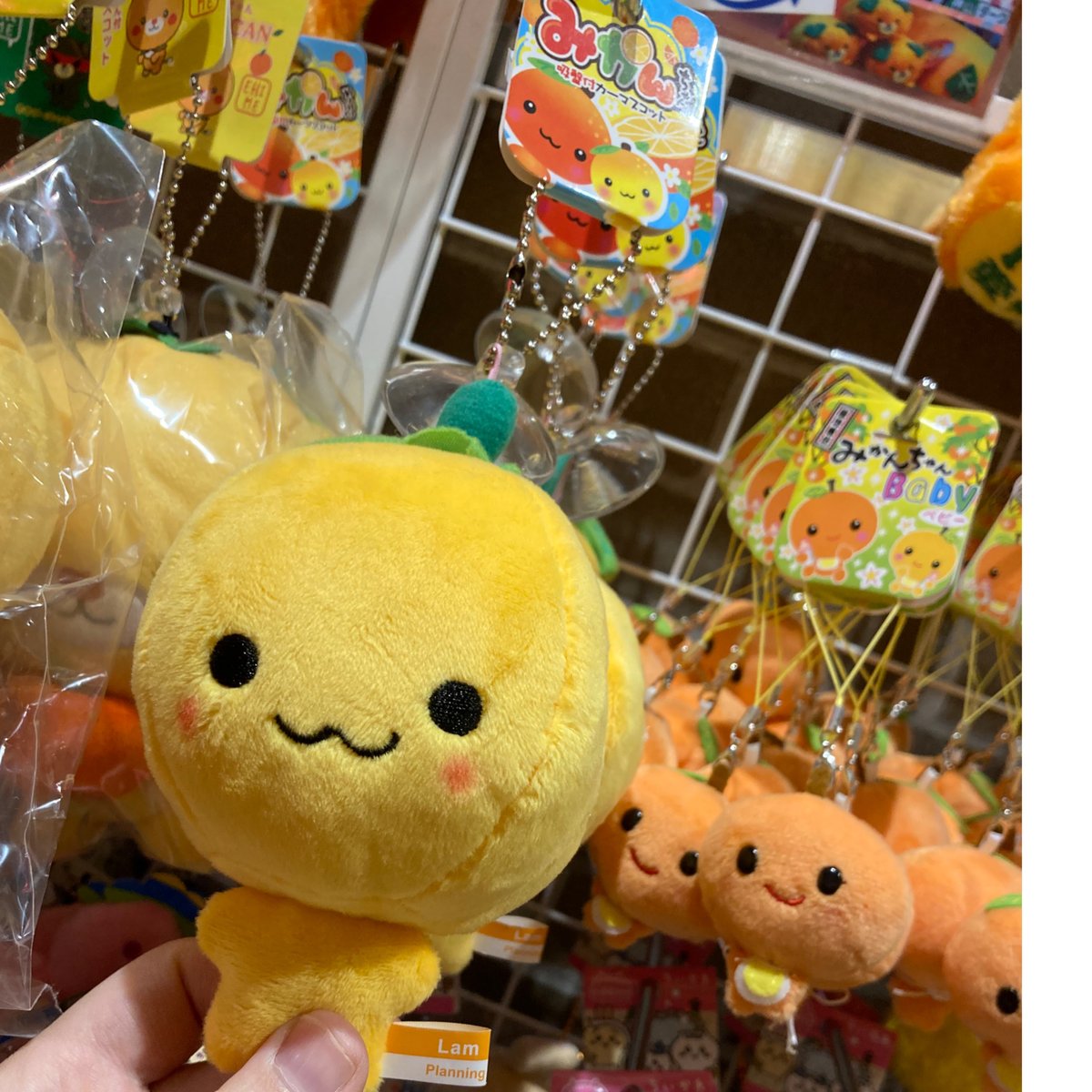 みかんきゃらめる 楽天市場】ライズ 亀井製菓(株)みきゃんのミカンキャラメル