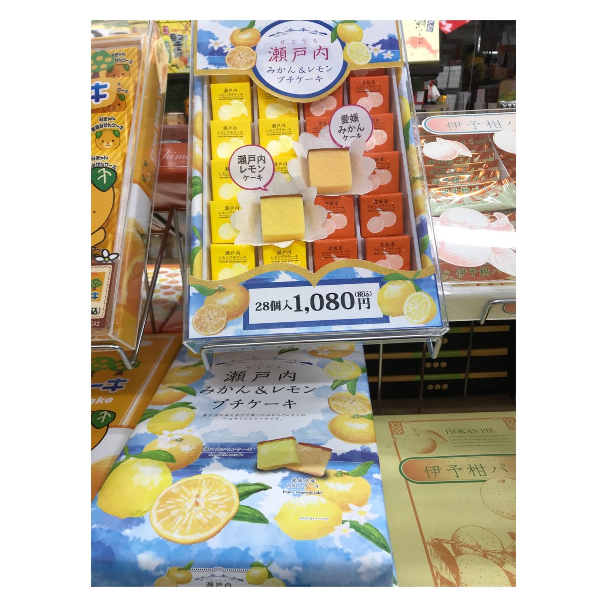 瀬戸内みかん＆レモンプチケーキ (28個入り) | 道後お土産センター 絣