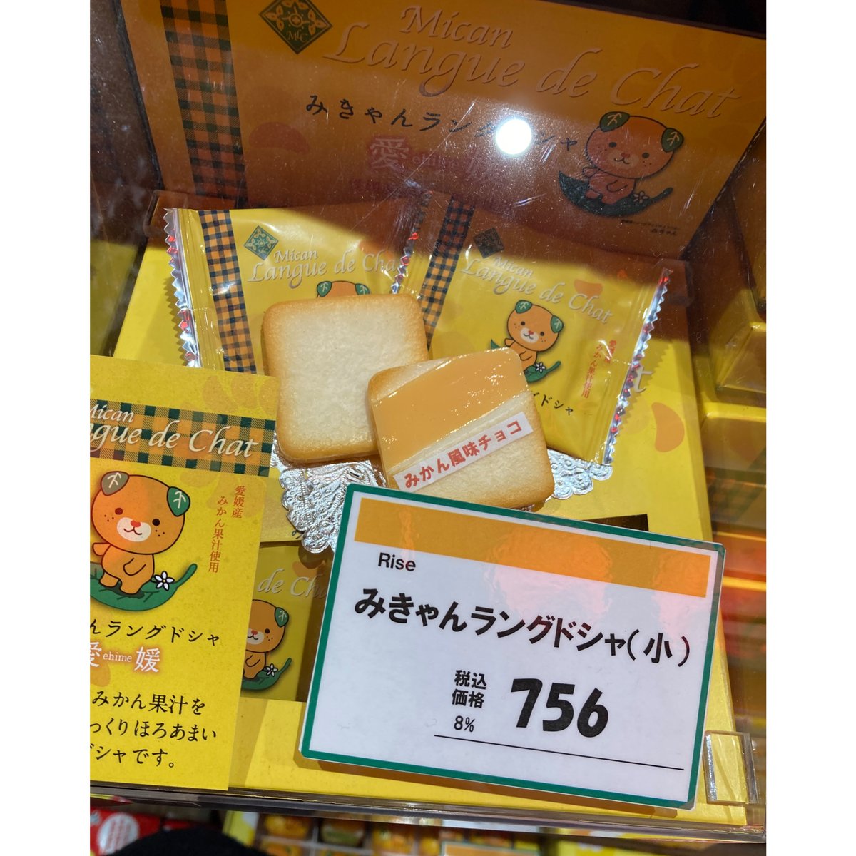 愛媛みきゃんラングドシャ(小、10個入) | 道後お土産センター 絣屋本店