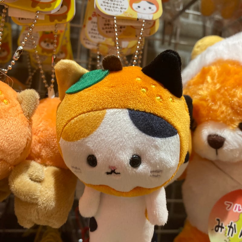 旅するマメねこ | 道後お土産センター 絣屋本店