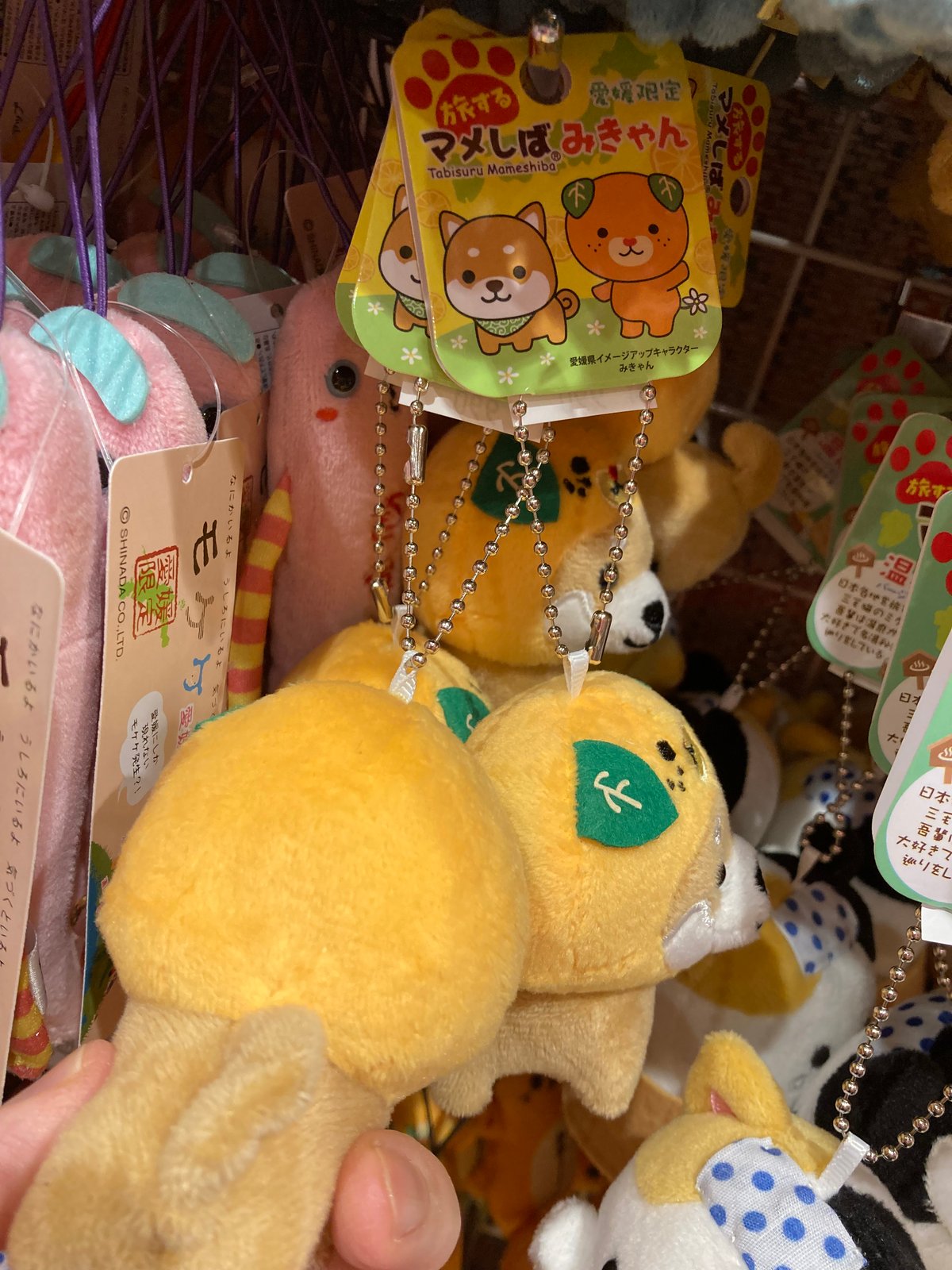 fit=scale-down,w=1200