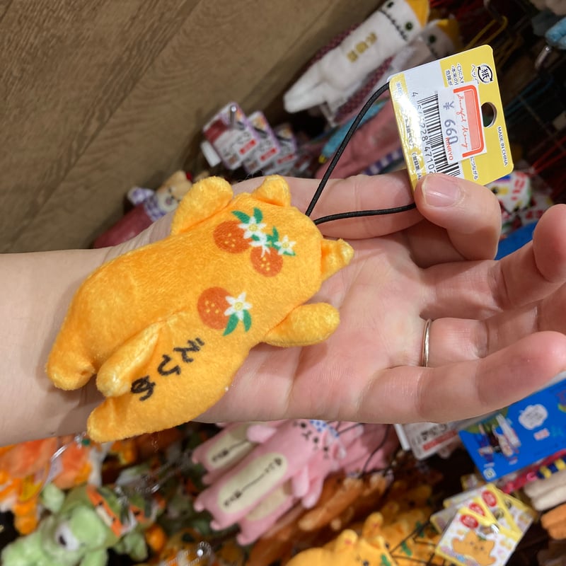 のびねこベビー (愛媛みかん | 道後お土産センター 絣屋本店