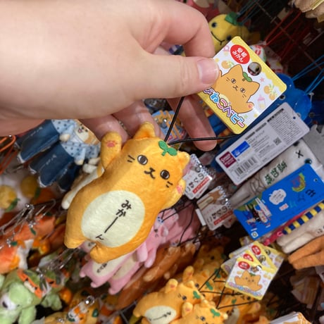 のびねこ | STORES のびねこ | STORES