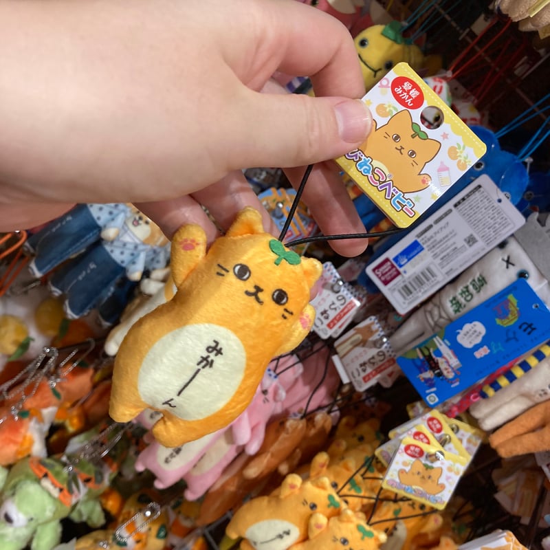 のびねこベビー (愛媛みかん | 道後お土産センター 絣屋本店