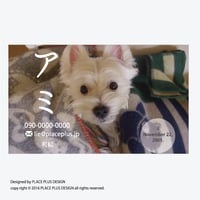 04ベーシック カナ丸
