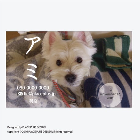 04ベーシック カナ丸