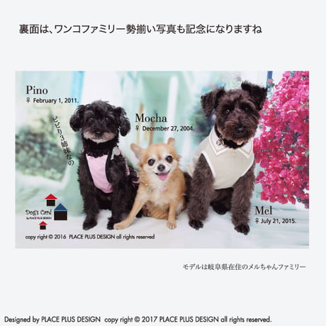 15シンプル ナチュラル
