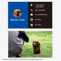 42飼い主さんがメインです-6