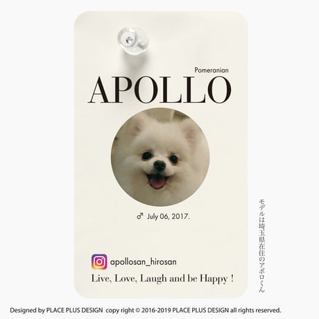 53マガジンフェイス ピン/角丸