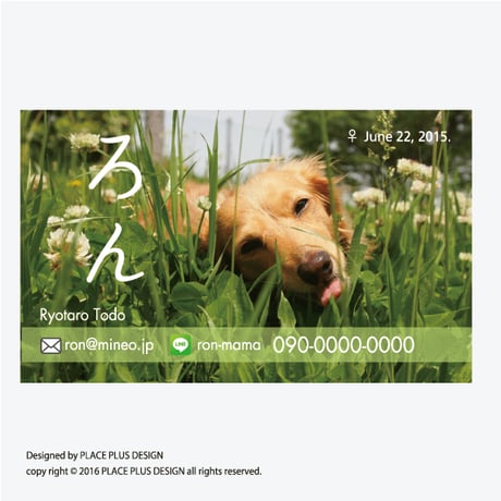 05ベーシック 帯