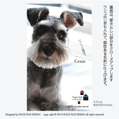 49葉っぱジャパン
