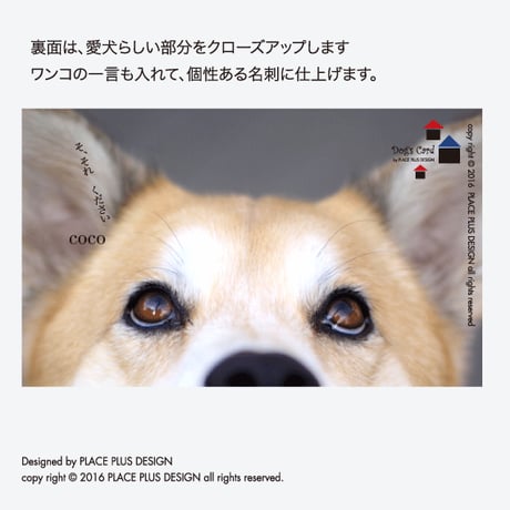 05ベーシック 帯