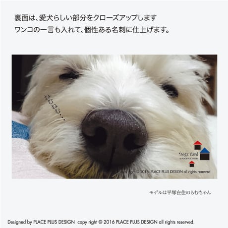 47まるシンプルヨコ