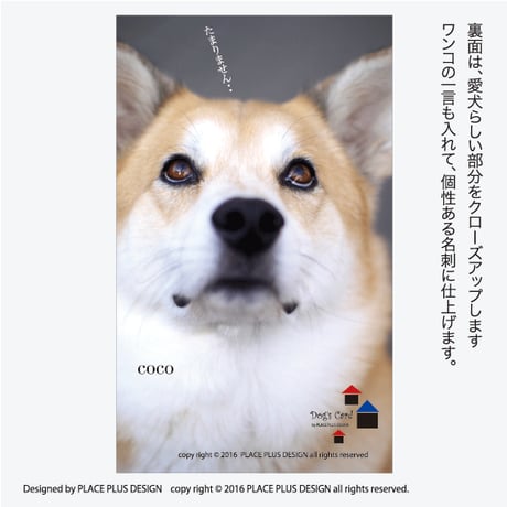 15シンプル ナチュラル