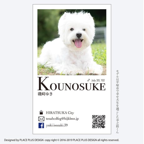 52 ヨーロッパ　スタンダード