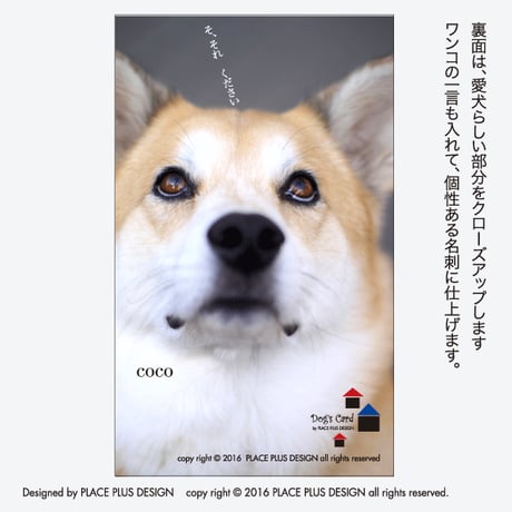 14シンプル ロマン