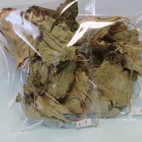 苺の葉(無農薬)10ｇ