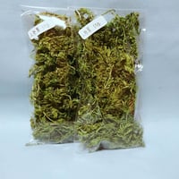 乾燥人参葉10ｇ