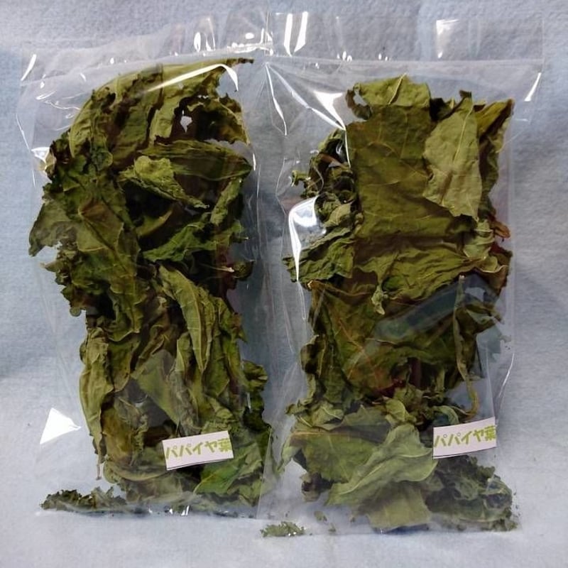 パパイヤの葉10g | うさ福食堂