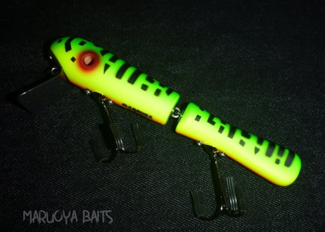 P.T.MINNOW/NGRA