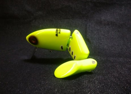 KNIFE FISH/ナイフフィッシュ