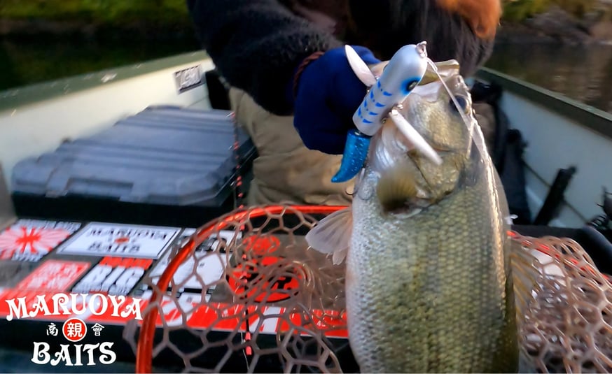 最近の釣行＆イベント告知 | 丸親商會