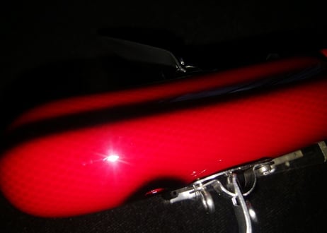 親禽/BLOOD RED