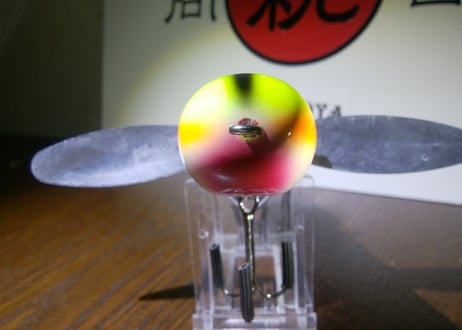 親禽/NKCH