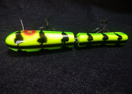 P.T.MINNOW