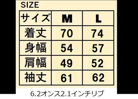 teamBIG ロンT/ブラックLサイズ