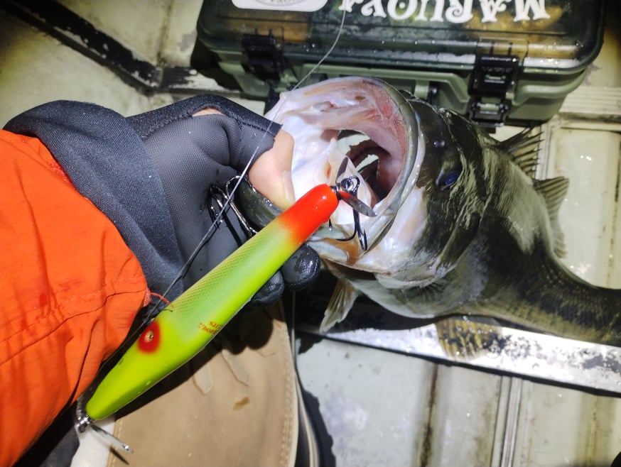 丸親通信 | 丸親商會 丸親通信 | 丸親商會