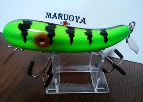 L.D.S   ビワコパーチ