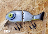 CRAZY FLAT WOBBLER/COLOSSOMA