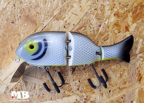 CRAZY FLAT WOBBLER/COLOSSOMA