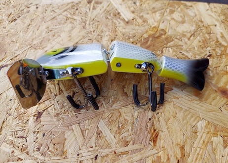 CRAZY FLAT WOBBLER/COLOSSOMA