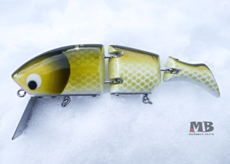 KNIFE FISH/FUNA