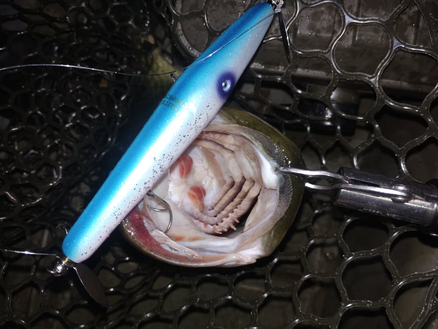 丸親通信 | 丸親商會