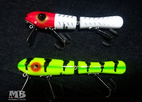 P.T.MINNOW