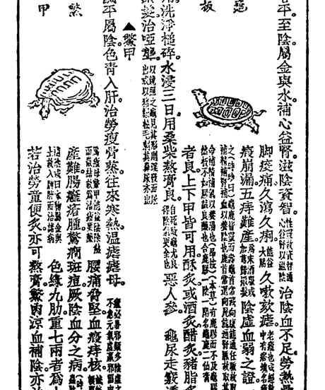 2億年の生命力「すっぽん粉カプセル」  （100粒入）
