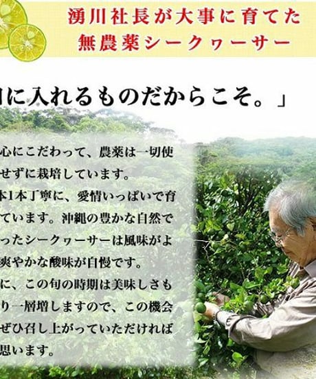 沖縄産シークヮーサーしぼりたて100％果汁（1L）