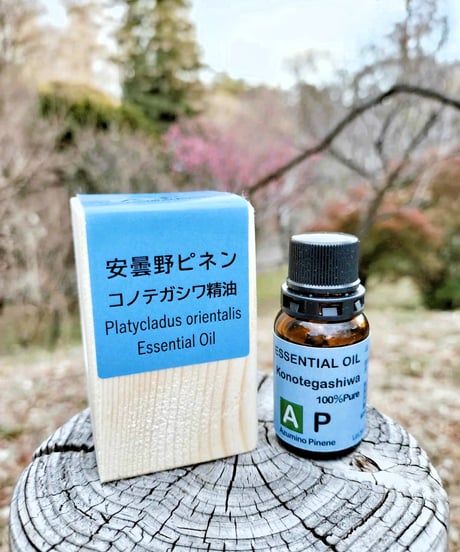悩める頭の"守り髪"「コノテガシワ精油」