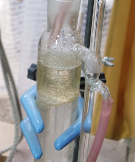 悩める頭の"守り髪"「コノテガシワ精油」