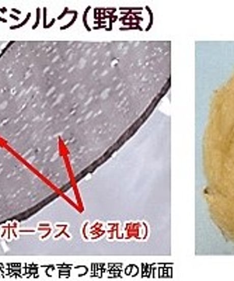 チッチの白雪パウダー【お得な詰め替え用】
