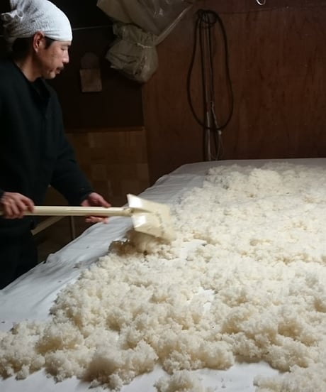 精米歩合91％の熟成日本酒「亀の福結び」（無濾過原酒）
