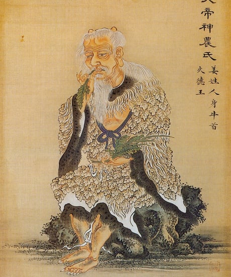 霊的キノコ・四天王が集合「炎帝神農」