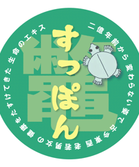2億年の生命力「すっぽん粉カプセル」  （100粒入）