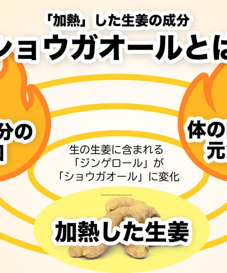 【ひと振りで胃腸サッパリ】有機生姜粉末（石臼挽き）